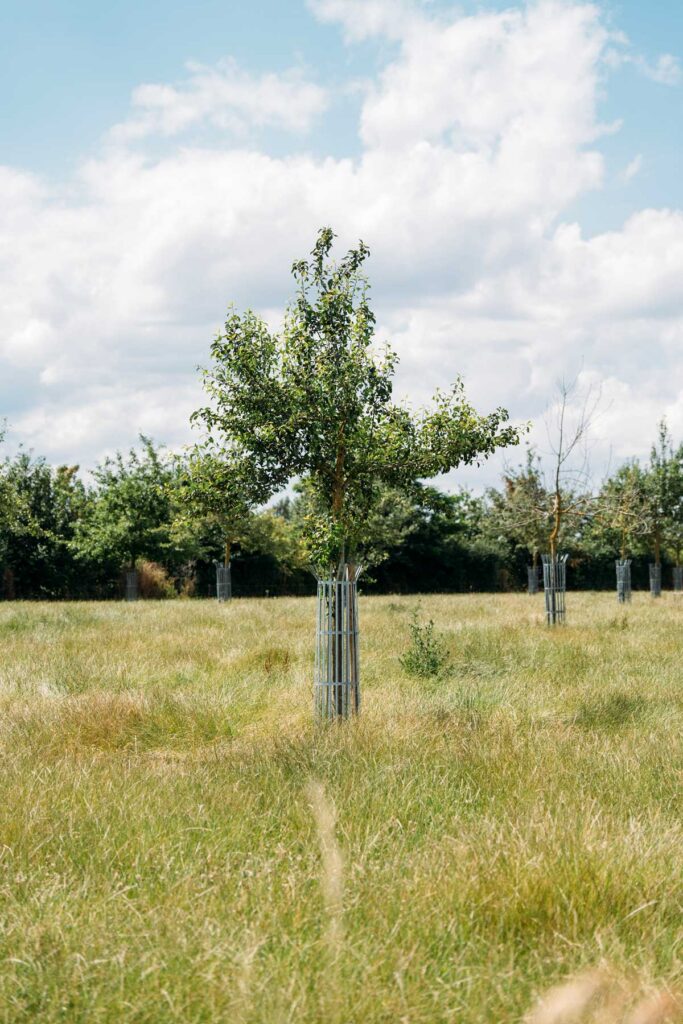 notre verger conservatoire