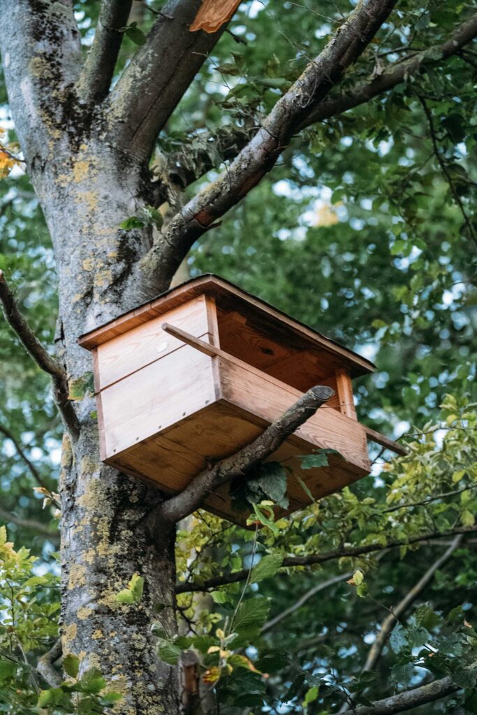 un nichoir au domaine