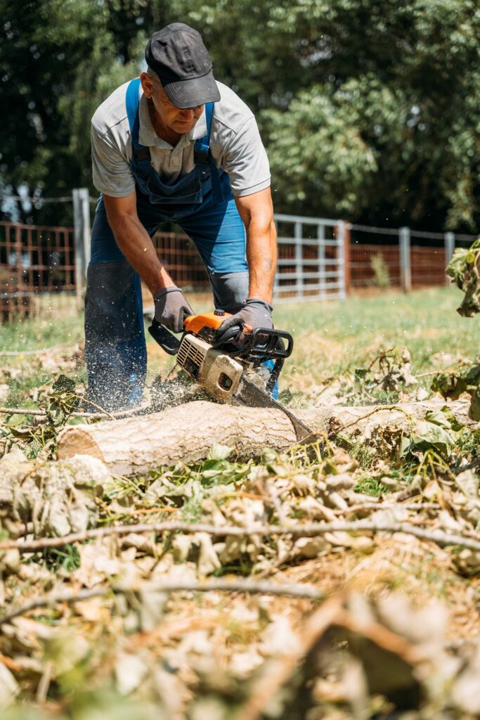a dead tree is being felled